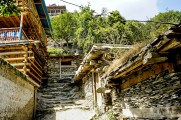 4 KALASH (42)